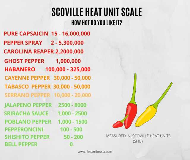 Guide To Chile Peppers - Life's Ambrosia