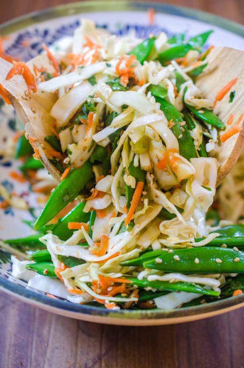 Asian Cabbage Salad - Life's Ambrosia