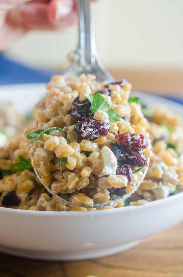 Farro, Cranberry and Goat Cheese Salad Life's Ambrosia