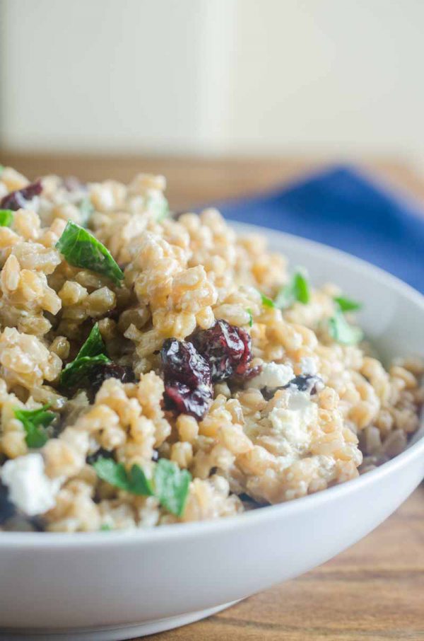 Farro, Cranberry and Goat Cheese Salad Life's Ambrosia