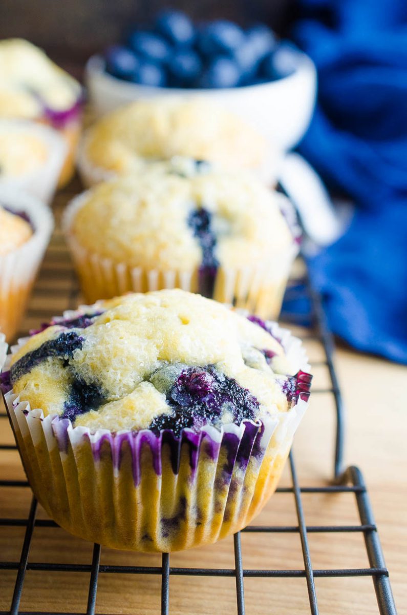 easy-blueberry-muffins-blueberry-muffin-recipe-life-s-ambrosia