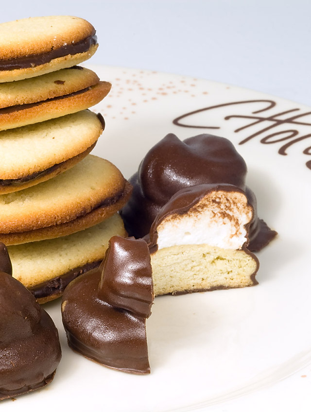 Layered S'more Brownies Life's Ambrosia